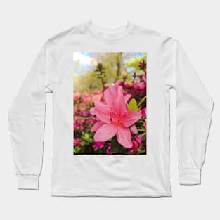 Spring Azaleas Long Sleeve T-Shirt